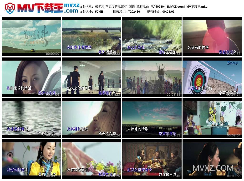 张冬玲-草原飞情歌流行_国语_流行歌曲_MA502804